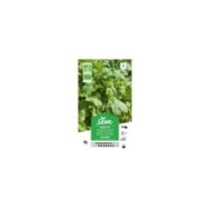 Roquette cultivée Bio (sachet)
