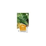 Chicorée sauvage à lapin Barbe de Capucin (sachet)