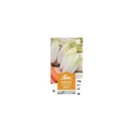 Chicorée de Bruxelles F1 Zoom (sachet)