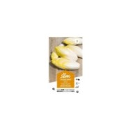 Chicorée endive Meilof Witloof de Bruxelles (sachet)