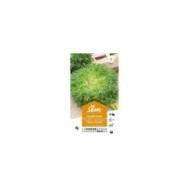 Chicorée fine de Louviers (sachet)