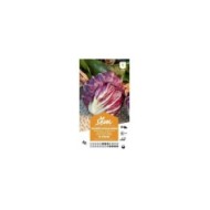 Chicorée sauvage de Vérone (sachet)