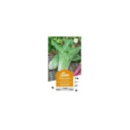 Chicorée sauvage Pain de Sucre (sachet)