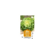 Chicorée scarole ronde verte à coeur plein (sachet)