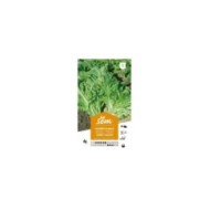 Chicorée scarole Cornet d'Anjou (sachet)