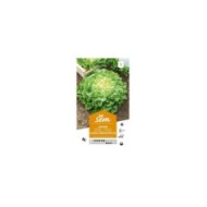 Chicorée scarole Grosse bouclée (sachet)