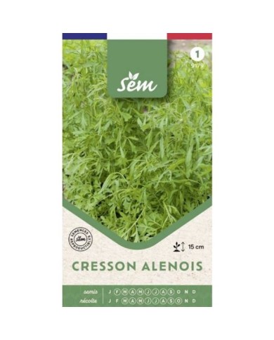 Cresson alénois