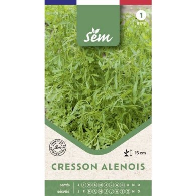 Cresson alénois