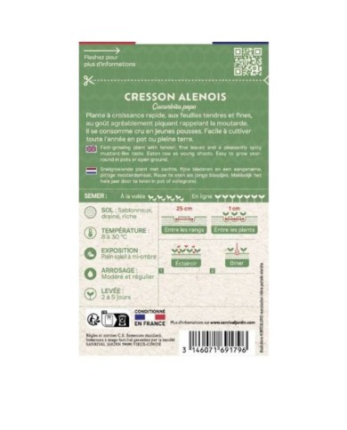 Cresson alénois