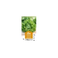 Laitue Batavia Dorée de Printemps (sachet)