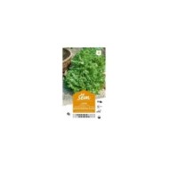 Laitue Batavia Reine des Glaces (sachet)