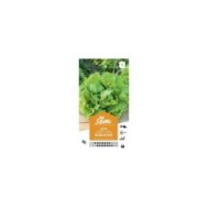 Laitue Batavia Blonde de Paris (sachet)