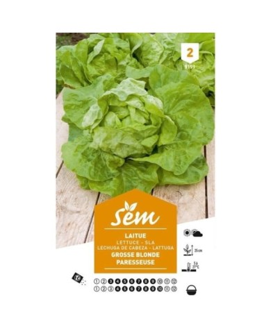 Laitue Grosse blonde paresseuse (sachet)