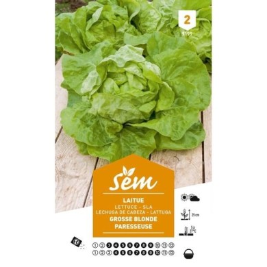 Laitue Grosse blonde paresseuse (sachet)