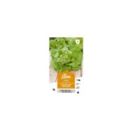 Laitue Grosse blonde paresseuse (sachet)