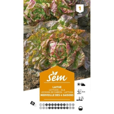 Laitue Merveille des 4 Saisons (sachet)