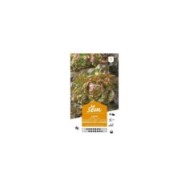 Laitue Merveille des 4 Saisons (sachet)