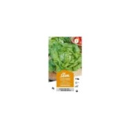 Laitue Kinemontepas (sachet)