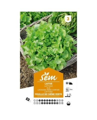 Laitue Feuille de Chêne (sachet)