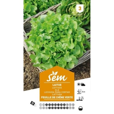 Laitue Feuille de Chêne (sachet)