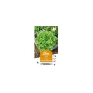 Laitue Feuille de Chêne (sachet)