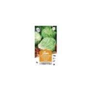 Laitue Iceberg Stylist (sachet)