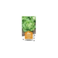 Laitue pommée Augusta (sachet)
