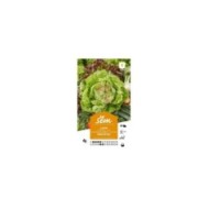 Laitue Reine de Mai (sachet)