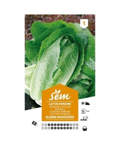 Laitue Romaine Blonde maraîchère (sachet)