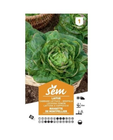 Laitue rougette de Montpellier (sachet)
