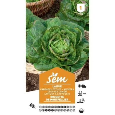 Laitue rougette de Montpellier (sachet)