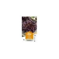 Laitue Batavia Salad bowl rouge (sachet)