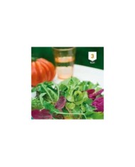 Mesclun