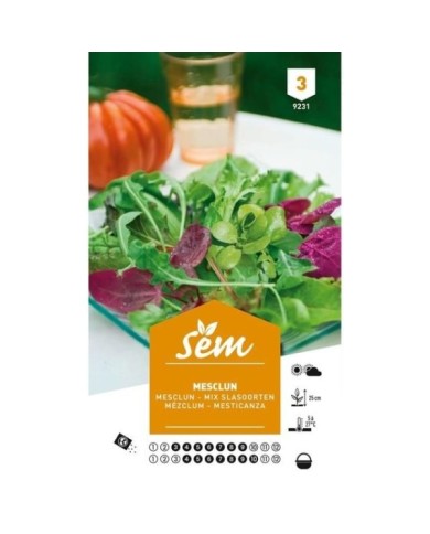 Mesclun (sachet)