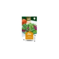 Mesclun (sachet)