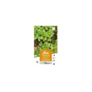 Pourpier doré à larges feuilles (sachet)
