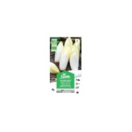 Chicorée endive Witlof Bio (sachet)