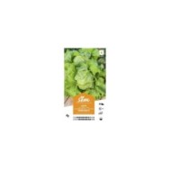 Laitue Batavia Pierre Bénite XXL (sachet)