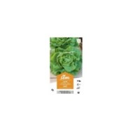 Laitue de printemps Appia XXL (sachet)