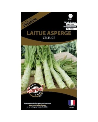 Laitue asperge celtuce (sachet)