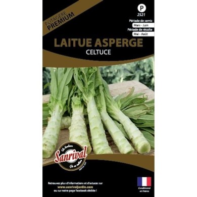 Laitue asperge celtuce (sachet)