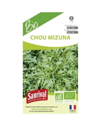Chou mizuna BIO (sachet)