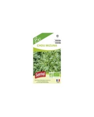 Chou mizuna BIO (sachet)