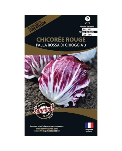 Chicorée rouge Palla Rossa Di chiogga (sachet)