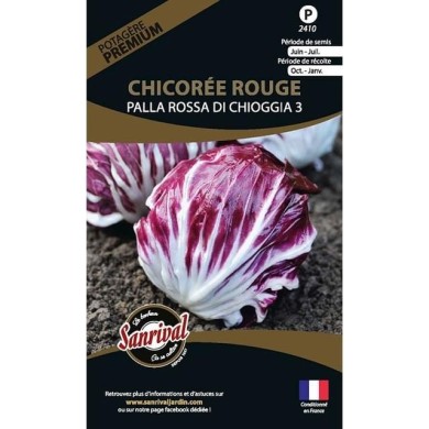 Chicorée rouge Palla Rossa Di chiogga (sachet)