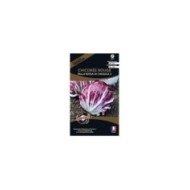 Chicorée rouge Palla Rossa Di chiogga (sachet)