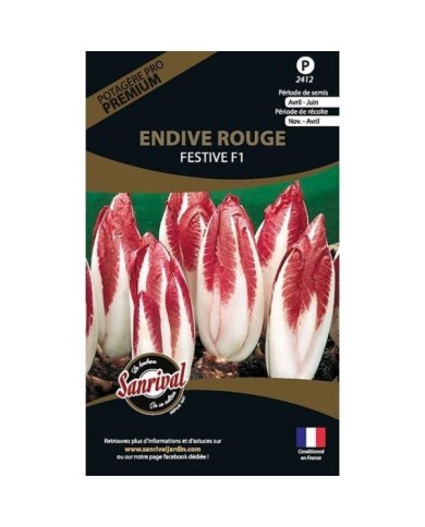 Endive rouge festive F1 (sachet)