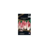 Endive rouge festive F1 (sachet)