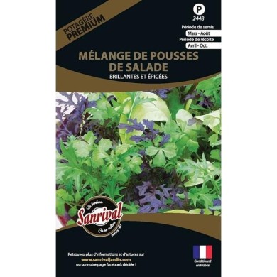 Mélange de pousses de salade brillantes et épciées (sachet)