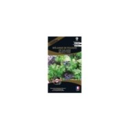 Mélange de pousses de salade brillantes et épciées (sachet)